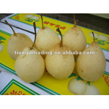 2012 China fresh ya pear
